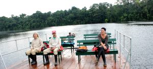 Amazonas / Parque Nacional del Manu / Tour Nutrias gigantes